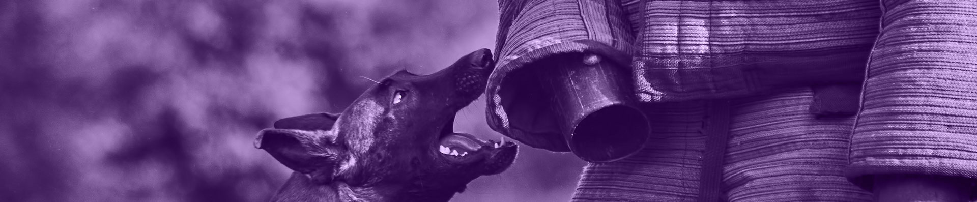 Dog Bites, Animal Attacks